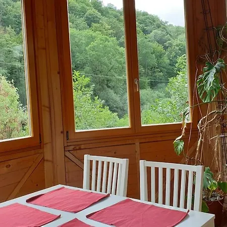 Apartamento Idyllische In Zentrumsnaehe Dresde